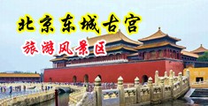 好大啊啊啊啊啊中国北京-东城古宫旅游风景区